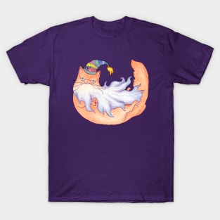 Magical Ginger Wizard Cat T-Shirt